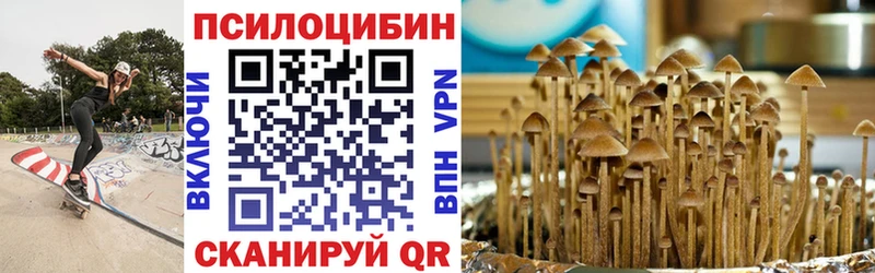 продажа наркотиков  Трёхгорный  Галлюциногенные грибы Magic Shrooms 